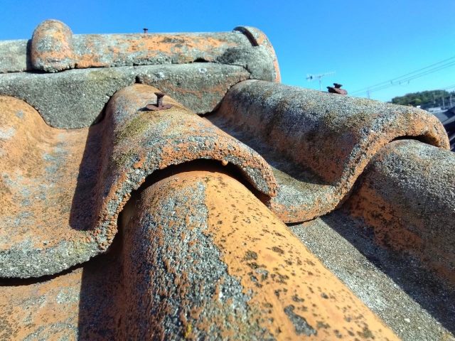 加古川市の釘が緩んだセメント瓦の屋根